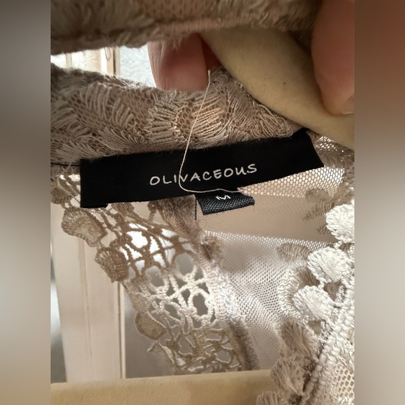 NWOT Olivaceous Sheer Lace Maxi Dress - Picture 15 of 15